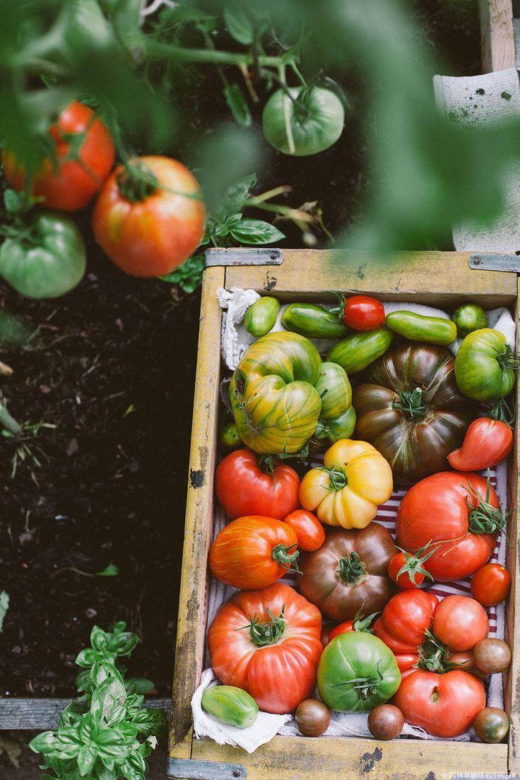 Garden's Pride Parade: Organic Vegetable Ensemble
